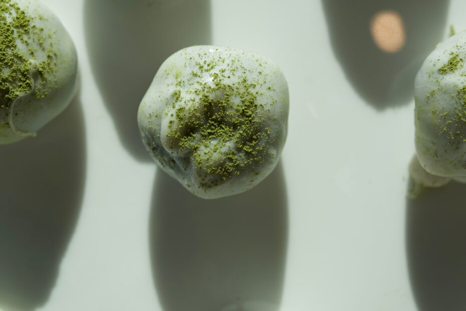 No-bake matcha protein balls dipped in white chocolate and dusted with vibrant green matcha powder – healthy high-protein snack